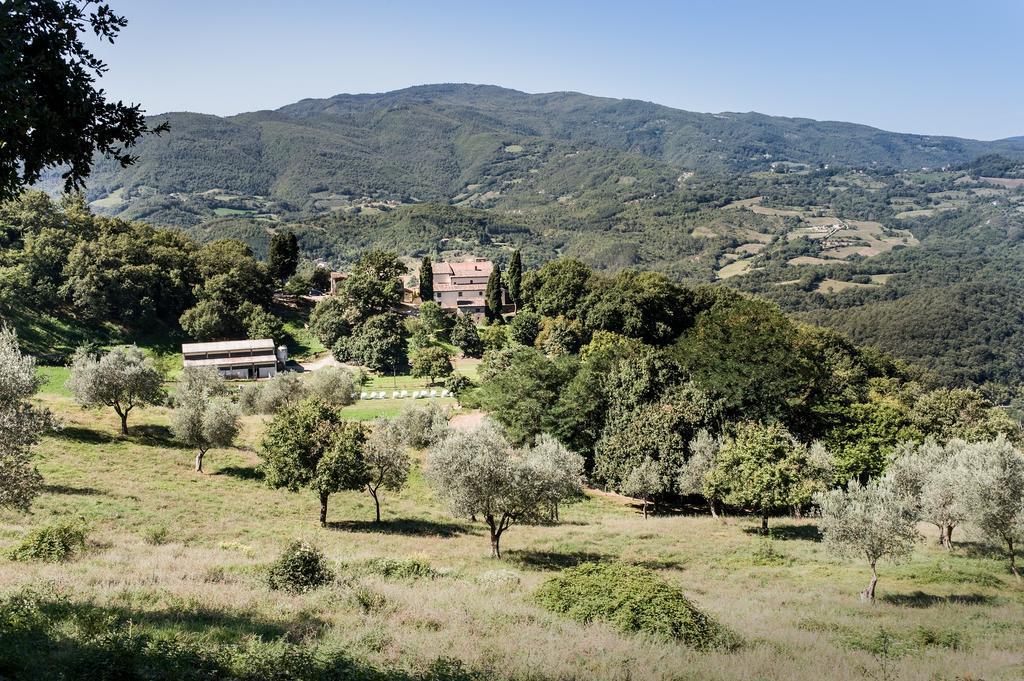 Agriturismo Di Baroni Enzo Dicomano Luaran gambar